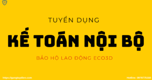 tuyển dụng kế toán nội bộ, eco3d,